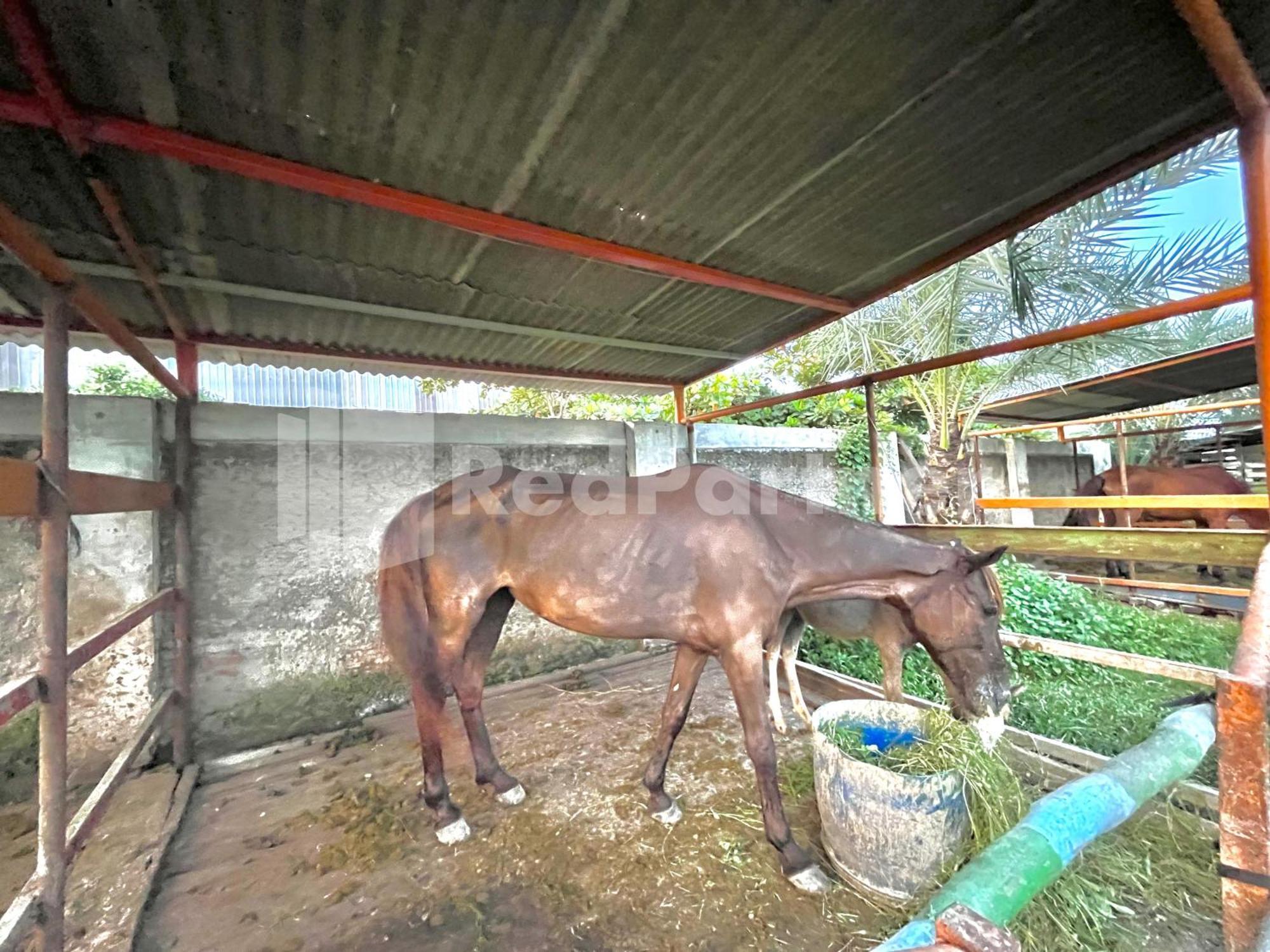 Готель Lafa Park Syariah Rengas Bandung Cikarang Redpartner Cibeber Екстер'єр фото