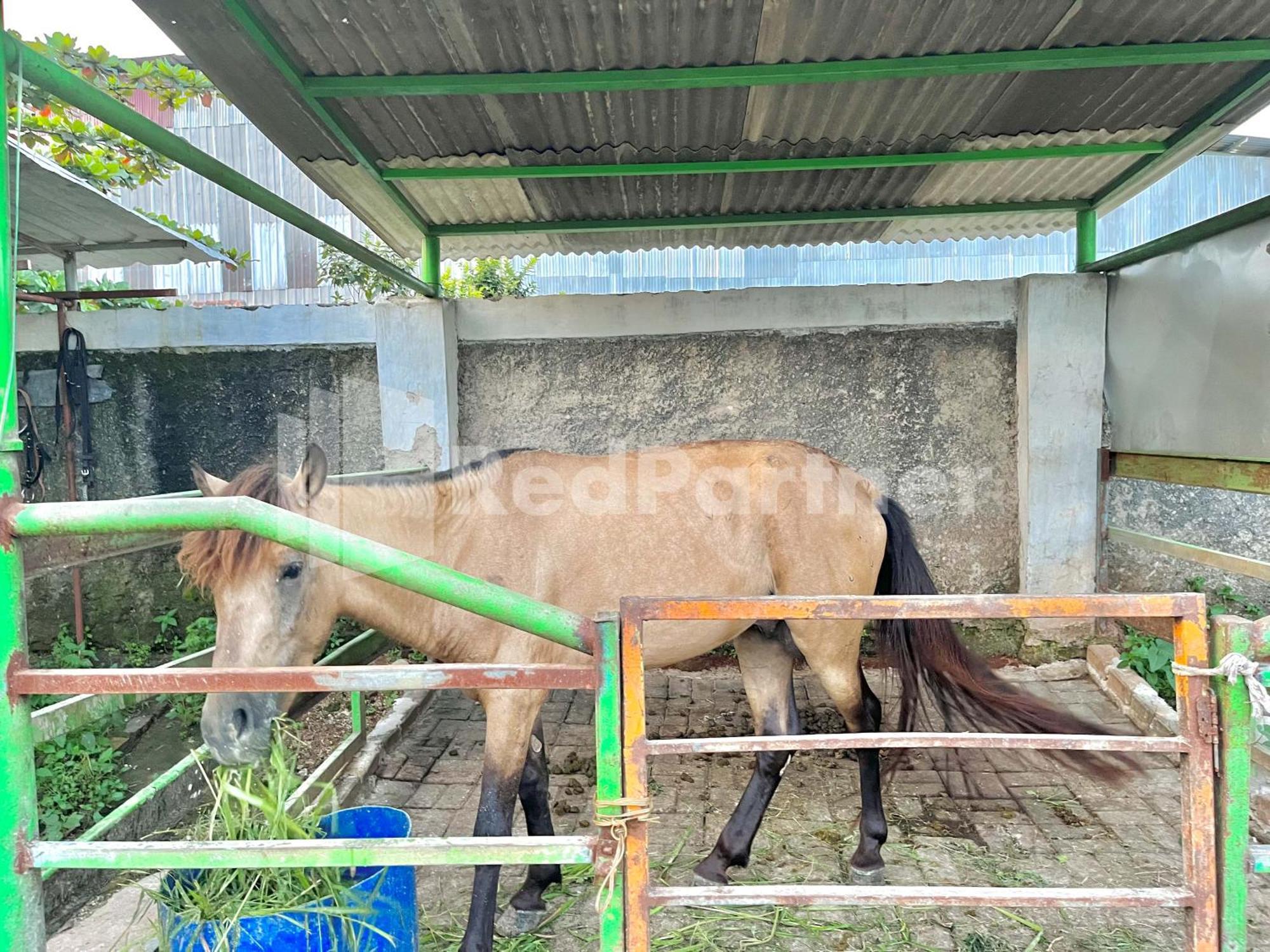 Готель Lafa Park Syariah Rengas Bandung Cikarang Redpartner Cibeber Екстер'єр фото