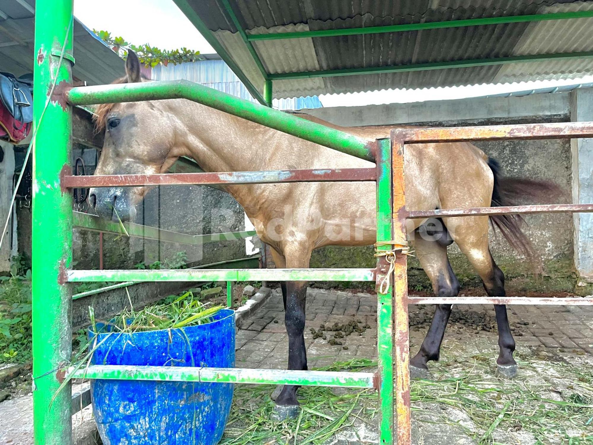 Готель Lafa Park Syariah Rengas Bandung Cikarang Redpartner Cibeber Екстер'єр фото